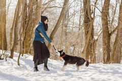 Kvinna som spelar med hennes skrovliga hund på snön royaltyfri bild Kvinna som spelar med hennes skrovliga hund på snön royaltyfri bild
