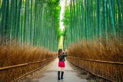 Kvinnan tar ett foto på bambuskogen i Kyoto, Japan royaltyfria foton Kvinnan tar ett foto på bambuskogen i Kyoto, Japan royaltyfria foton
