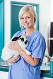 Kvinnlig veterinär- doktor With Rabbit arkivbild Kvinnlig veterinär- doktor With Rabbit arkivbild