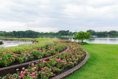 Kwiatu Garden fotografia royalty free Kwiatu Garden fotografia royalty free