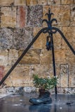 Kwiaty nad wodny dobrze w Monteriggioni w prowincji Siena fotografia royalty free Kwiaty nad wodny dobrze w Monteriggioni w prowincji Siena fotografia royalty free