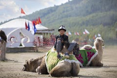 Young photographer sitting on a camel and resting royalty free stock photo Young photographer sitting on a camel and resting royalty free stock photo