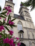 Kyrkan av vår dam i Koblenz, Tyskland, den yttre sikten med neriumoleander blommar i förgrunden royaltyfria foton Kyrkan av vår dam i Koblenz, Tyskland, den yttre sikten med neriumoleander blommar i förgrunden royaltyfria foton