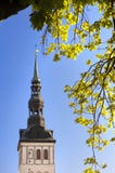kyrklig sikt för nicholas nigulistest tallinn för tallinn thomas för stadsestonia korridor fåfängt väder för gammal town torn royaltyfri bild kyrklig sikt för nicholas nigulistest tallinn för tallinn thomas för stadsestonia korridor fåfängt väder för gammal town torn royaltyfri bild
