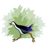 Köra för tecknad film för vattenhöna som är snabbt stock illustrationer Köra för tecknad film för vattenhöna som är snabbt stock illustrationer