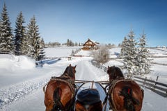 körning av rolig pulkavinter fotografering för bildbyråer körning av rolig pulkavinter fotografering för bildbyråer