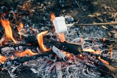 Köstliche und süße Eibische auf Stock über dem Feuer stockbild Köstliche und süße Eibische auf Stock über dem Feuer stockbild