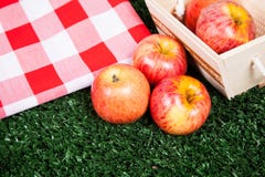 Köstliche Äpfel auf dem Gras stockbild Köstliche Äpfel auf dem Gras stockbild
