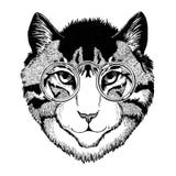 Kühle Wildkatze modernes Tierhippie-Art Weinlese-Illustration Bild für Tätowierung, Logo, Emblem, Ausweisdesign stock abbildung Kühle Wildkatze modernes Tierhippie-Art Weinlese-Illustration Bild für Tätowierung, Logo, Emblem, Ausweisdesign stock abbildung