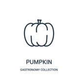 Kürbisikonenvektor von der Gastronomiesammlungssammlung Dünne Linie Kürbisentwurfsikonen-Vektorillustration vektor abbildung Kürbisikonenvektor von der Gastronomiesammlungssammlung Dünne Linie Kürbisentwurfsikonen-Vektorillustration vektor abbildung