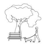 L'albero ed il banco, donna cammina un animale domestico nel parco Animale domestico, icona di cura del cane singola nelle azione Immagini Stock Libere da Diritti L'albero ed il banco, donna cammina un animale domestico nel parco Animale domestico, icona di cura del cane singola nelle azione Immagini Stock Libere da Diritti