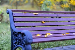 L'automne en parc, une partie de bancs vifs de violette avec le jaune laisse le plan rapproché Fond nostalgique coloré photo libre de droits L'automne en parc, une partie de bancs vifs de violette avec le jaune laisse le plan rapproché Fond nostalgique coloré photo libre de droits