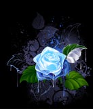 L'azzurro è aumentato Fotografie Stock Libere da Diritti L'azzurro è aumentato Fotografie Stock Libere da Diritti