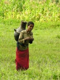 L'eau de transport de jeune femme d'Amhara, Ethiopie images libres de droits L'eau de transport de jeune femme d'Amhara, Ethiopie images libres de droits