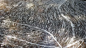 L'eau modifiée L'eau modifiée