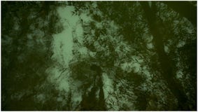 L'eau verte abstraite ! image stock L'eau verte abstraite ! image stock
