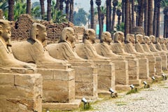 l'Egypte, Luxor, temple d'Amun de Luxor. photos libres de droits l'Egypte, Luxor, temple d'Amun de Luxor. photos libres de droits