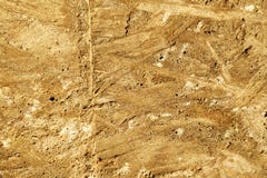 L'empreinte sur un concret est une texture de couleur jaune-orange de contreplaqué en bois photographie stock L'empreinte sur un concret est une texture de couleur jaune-orange de contreplaqué en bois photographie stock