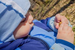 L'enfant regarde le gland Enfant dans la forêt photos stock L'enfant regarde le gland Enfant dans la forêt photos stock