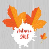 L'ensemble de jaune d'automne part et de ventes d'automne d'inscription sur un fond en bois illustration libre de droits L'ensemble de jaune d'automne part et de ventes d'automne d'inscription sur un fond en bois illustration libre de droits