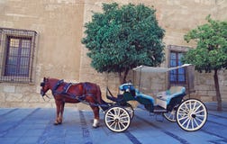 L'Espagne, touristes de attente de chariot de cheval s'approchent de la cathédrale antique photographie stock libre de droits L'Espagne, touristes de attente de chariot de cheval s'approchent de la cathédrale antique photographie stock libre de droits