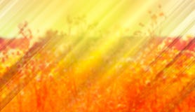 L'estate ha offuscato il fondo con i raggi del sole della sera fotografia stock L'estate ha offuscato il fondo con i raggi del sole della sera fotografia stock