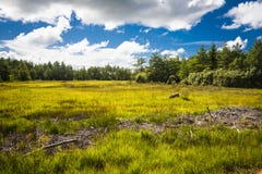 L'Estonia immagini stock libere da diritti L'Estonia immagini stock libere da diritti