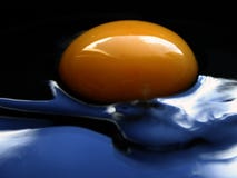 L'extrémité eggs la série IX photographie stock L'extrémité eggs la série IX photographie stock