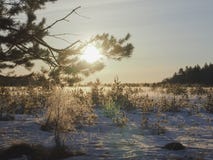 L'hiver du soleil de matin en Russie images libres de droits L'hiver du soleil de matin en Russie images libres de droits