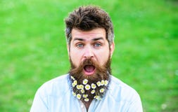 L'homme avec la barbe et la moustache apprécient le ressort, fond vert de pré Concept de printemps Hippie sur le visage étonné ch Photos libres de droits L'homme avec la barbe et la moustache apprécient le ressort, fond vert de pré Concept de printemps Hippie sur le visage étonné ch Photos libres de droits