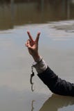 L'homme d'affaires a été arrêté par des menottes et la noyade photos libres de droits L'homme d'affaires a été arrêté par des menottes et la noyade photos libres de droits