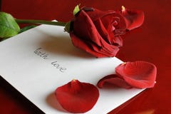 l'illustration s de coeur de vert de dreamstime de conception de jour de carte stylized le vecteur de valentine Rose rouge avec l photos libres de droits l'illustration s de coeur de vert de dreamstime de conception de jour de carte stylized le vecteur de valentine Rose rouge avec l photos libres de droits