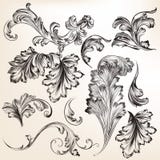 L'insieme del turbinio disegnato a mano di vettore fiorisce per progettazione royalty illustrazione gratis L'insieme del turbinio disegnato a mano di vettore fiorisce per progettazione royalty illustrazione gratis