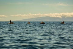 L'Océan Atlantique outre de la côte ouest de Ténérife Quatre silhouettes sur des scooters balancent sur une vague tranquille Île photographie stock libre de droits L'Océan Atlantique outre de la côte ouest de Ténérife Quatre silhouettes sur des scooters balancent sur une vague tranquille Île photographie stock libre de droits