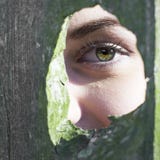 L'oeil vert de la fille dans le trou moussu photographie stock L'oeil vert de la fille dans le trou moussu photographie stock