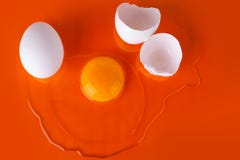 L'oeuf cru cassé, la coquille d'oeuf et l'oeuf blanc entier sur le fond orange lumineux, se ferment vers le haut de la vue supéri photos stock L'oeuf cru cassé, la coquille d'oeuf et l'oeuf blanc entier sur le fond orange lumineux, se ferment vers le haut de la vue supéri photos stock