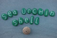 L'oursin Shell appellent composé avec les pierres colorées par vert illustration libre de droits L'oursin Shell appellent composé avec les pierres colorées par vert illustration libre de droits