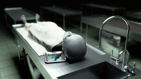 L'étranger mort dans la morgue sur la table Concept futuriste d'autopsie longueur 4k cinématographique illustration libre de droits L'étranger mort dans la morgue sur la table Concept futuriste d'autopsie longueur 4k cinématographique illustration libre de droits