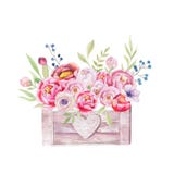 La acuarela florece la caja de madera Jardín elegante a mano ru del vintage libre illustration La acuarela florece la caja de madera Jardín elegante a mano ru del vintage libre illustration