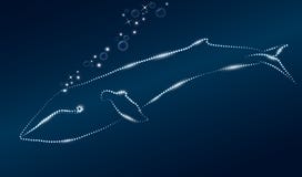 La baleine brillante plonge dans les profondeurs foncées de l'océan Vecteur illustration stock La baleine brillante plonge dans les profondeurs foncées de l'océan Vecteur illustration stock