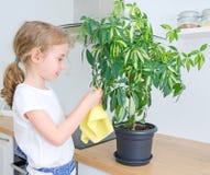 La bambina pulisce la polvere dal fiore fotografia stock La bambina pulisce la polvere dal fiore fotografia stock