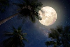 La bella fantasia della palma alla spiaggia tropicale e la luna piena con la Via Lattea star nel fondo dei cieli notturni fotografia stock libera da diritti La bella fantasia della palma alla spiaggia tropicale e la luna piena con la Via Lattea star nel fondo dei cieli notturni fotografia stock libera da diritti