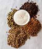 La bière et son composant au-dessus d'a avec le fond image libre de droits La bière et son composant au-dessus d'a avec le fond image libre de droits