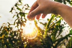 la bombilla del concepto con puesta del sol y el ahorro accionan energía Fotografía de archivo la bombilla del concepto con puesta del sol y el ahorro accionan energía Fotografía de archivo