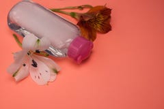 La bouteille cosm?tique de soins de la peau avec des fleurs, le nettoyage et le maquillage enl?vent, vue sup?rieure, fond de coul photos libres de droits La bouteille cosm?tique de soins de la peau avec des fleurs, le nettoyage et le maquillage enl?vent, vue sup?rieure, fond de coul photos libres de droits