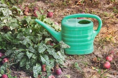 La boîte d'arrosage se tient dans le jardin photo stock La boîte d'arrosage se tient dans le jardin photo stock