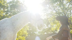 La cabeza feliz del ` s del caballo de las caricias de la muchacha en el sol sube fondo almacen de metraje de vídeo La cabeza feliz del ` s del caballo de las caricias de la muchacha en el sol sube fondo almacen de metraje de vídeo