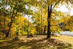 La caduta sopra occhieggia parco di stato del lago, la contea di Brown, Indiana fotografia stock libera da diritti La caduta sopra occhieggia parco di stato del lago, la contea di Brown, Indiana fotografia stock libera da diritti