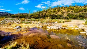 La cala casi seca del sicómoro en la cordillera de McDowell en Arizona septentrional imagen de archivo libre de regalías La cala casi seca del sicómoro en la cordillera de McDowell en Arizona septentrional imagen de archivo libre de regalías