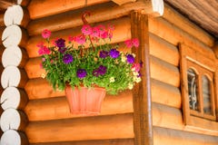 La casa di campagna con Windows ha fatto del legname laminato dell'impiallacciatura Tempo caldo di estate Fiori in un POT fotografia stock libera da diritti La casa di campagna con Windows ha fatto del legname laminato dell'impiallacciatura Tempo caldo di estate Fiori in un POT fotografia stock libera da diritti